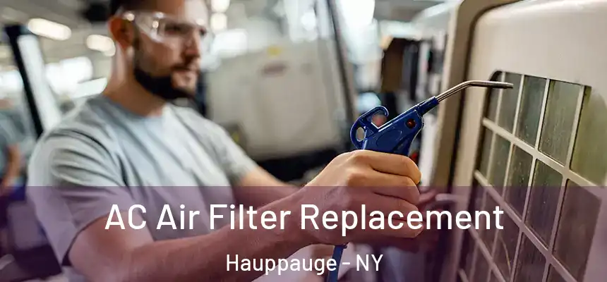  AC Air Filter Replacement Hauppauge - NY