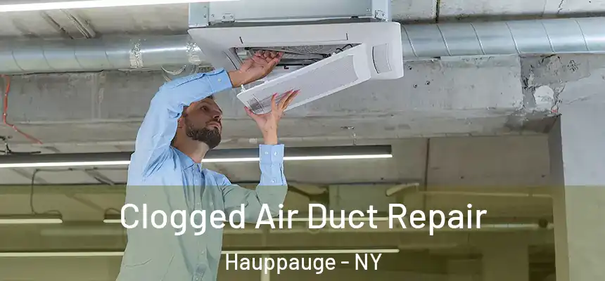 Clogged Air Duct Repair Hauppauge - NY
