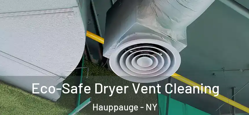  Eco-Safe Dryer Vent Cleaning Hauppauge - NY