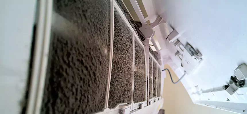 Preventive Air Duct Bacteria Removal in Hauppauge