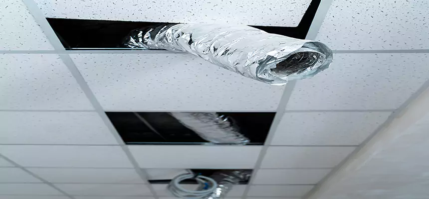 Affordable HVAC Sanitizing After Pest Removal in Hauppauge