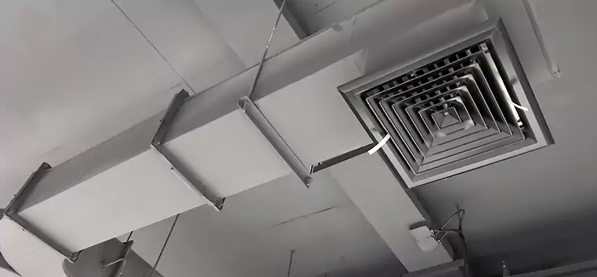 Restorative Allergy Relief Vent Cleaning – Coil, Blower & Housing Detail in Hauppauge