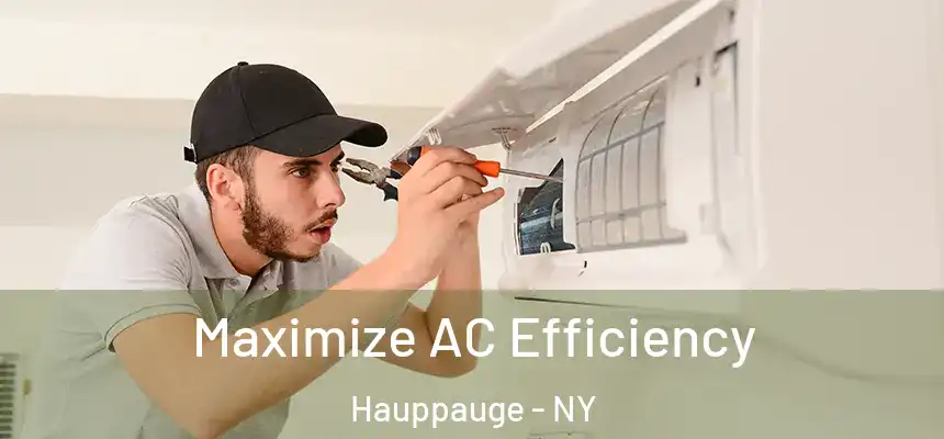  Maximize AC Efficiency Hauppauge - NY