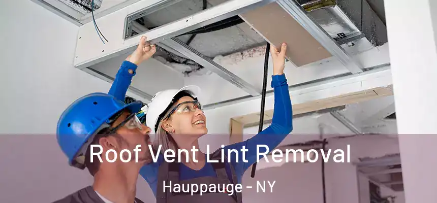 Roof Vent Lint Removal Hauppauge - NY