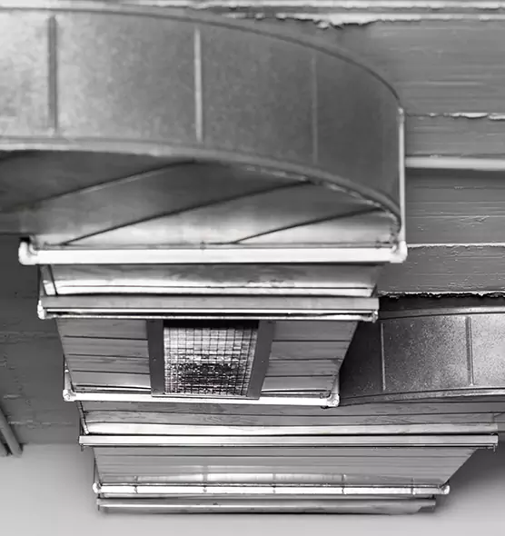 Professional Air Duct Pest Removal in Hauppauge, NY