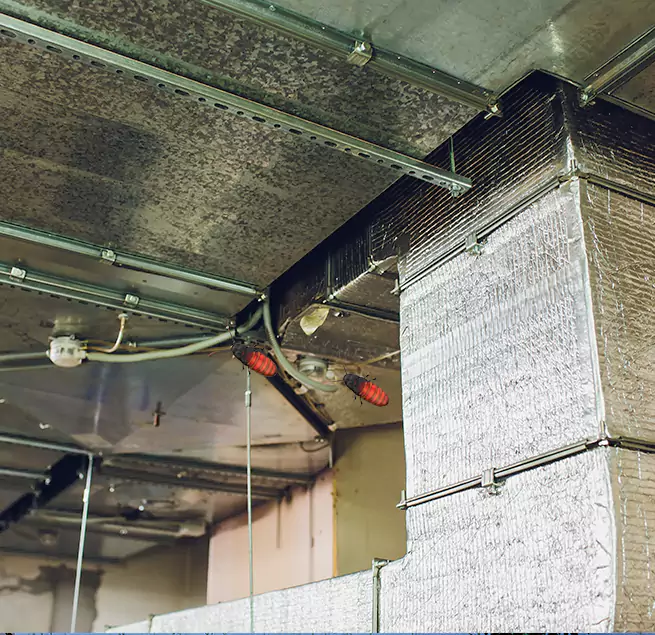 Why Homeowners & Businesses Trust Us in Hauppauge, NY?