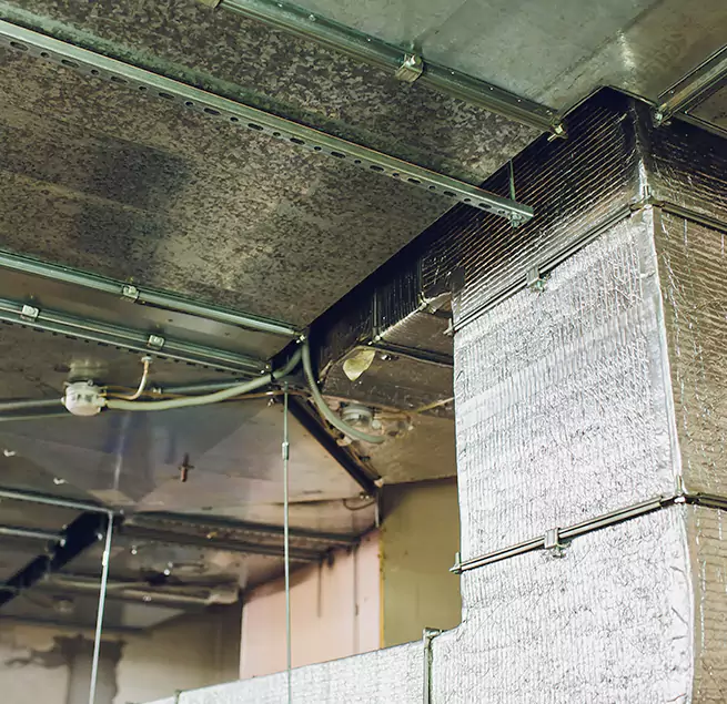 Why Homeowners & Businesses Trust Us in Hauppauge, NY?