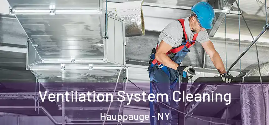  Ventilation System Cleaning Hauppauge - NY
